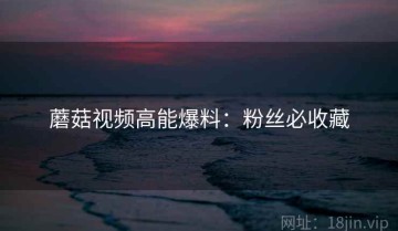 蘑菇视频高能爆料：粉丝必收藏
