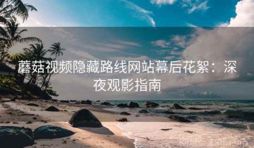 蘑菇视频隐藏路线网站幕后花絮：深夜观影指南