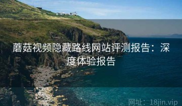 蘑菇视频隐藏路线网站评测报告：深度体验报告