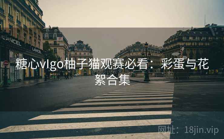 糖心vIgo柚子猫观赛必看:彩蛋与花絮合集 糖心vIgo柚子猫观赛必看:彩蛋与花絮合集