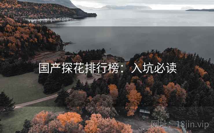 国产探花排行榜：入坑必读