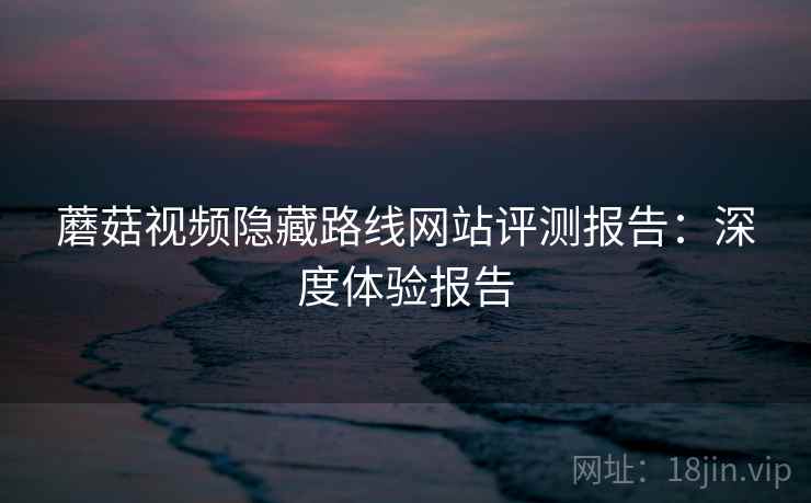 蘑菇视频隐藏路线网站评测报告：深度体验报告