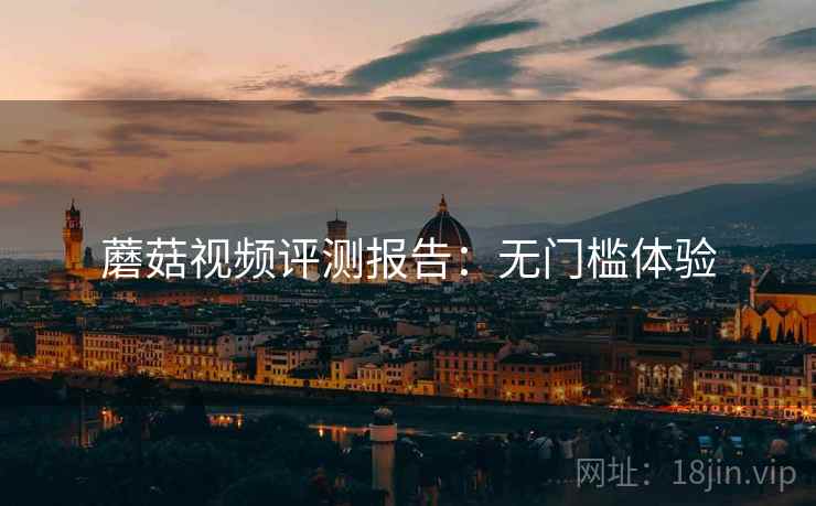 蘑菇视频评测报告：无门槛体验