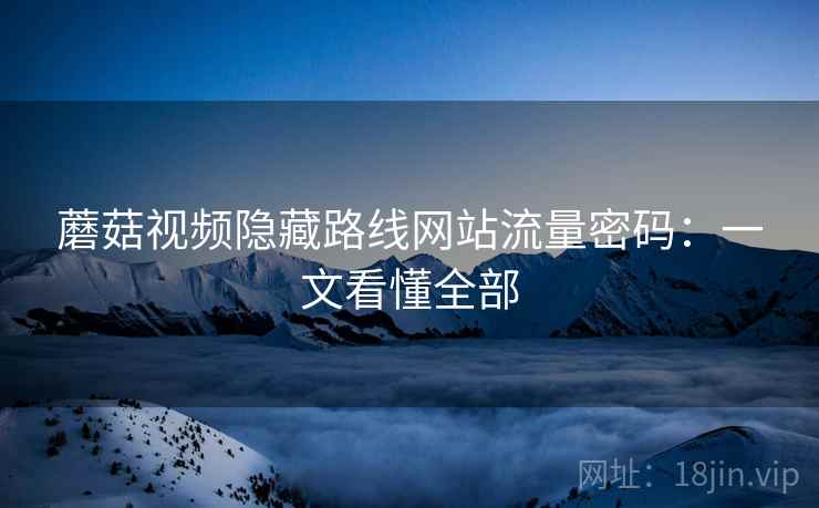 蘑菇视频隐藏路线网站流量密码：一文看懂全部