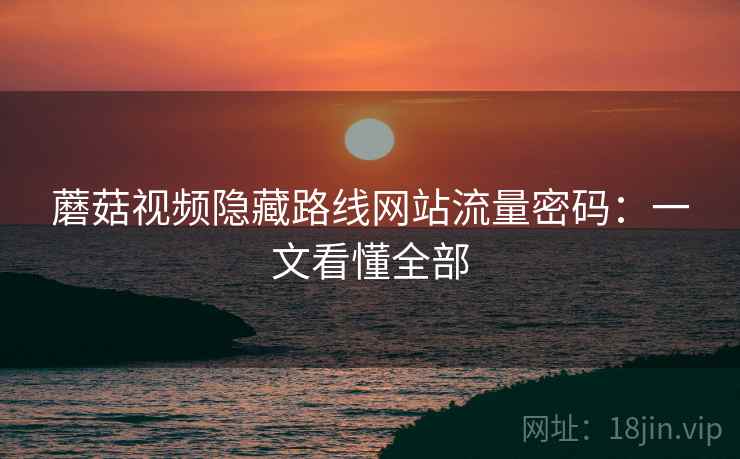 蘑菇视频隐藏路线网站流量密码：一文看懂全部