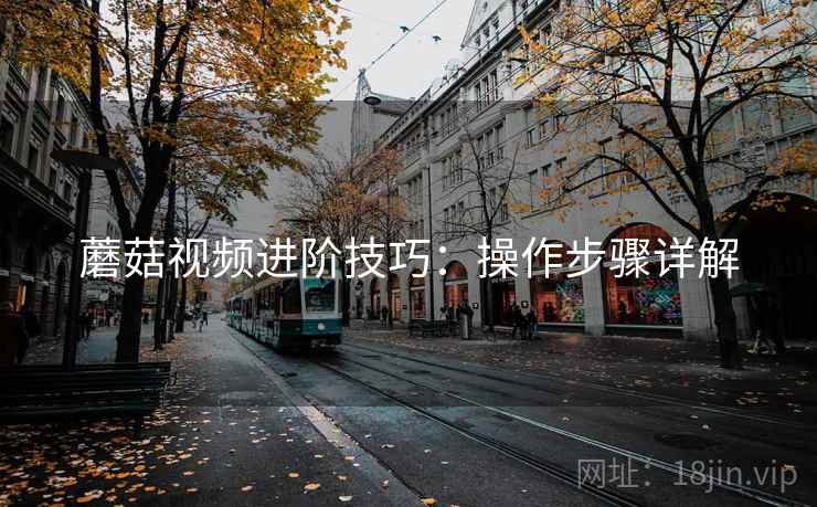 蘑菇视频进阶技巧：操作步骤详解