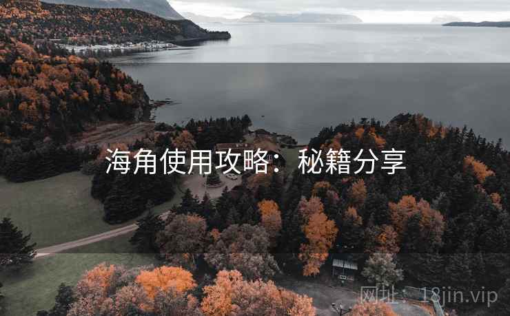 海角使用攻略：秘籍分享