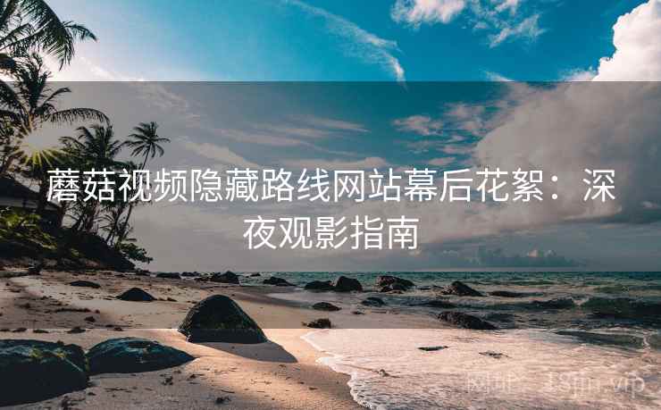 蘑菇视频隐藏路线网站幕后花絮：深夜观影指南