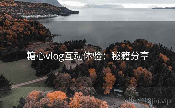糖心vlog互动体验：秘籍分享